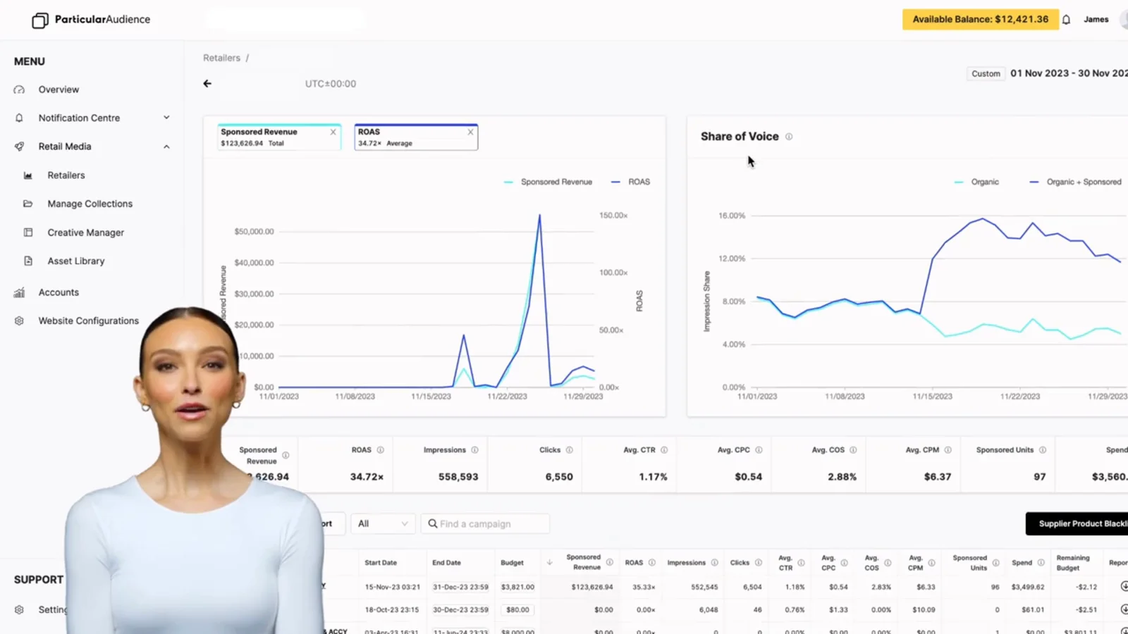 Particular Audience interface